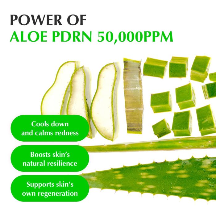 Aloe PDRN Calming Serum – Ορός άμεσης καταπράυνσης με Aloe PDRN & Ceramides, 30ml