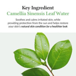 Green Tea Fresh Sunscreen, SPF50+ – Αντηλιακό προσώπου με ελαφριά καταπραυντικη υφή, 50ml